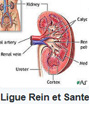 logo ligue reins et sante