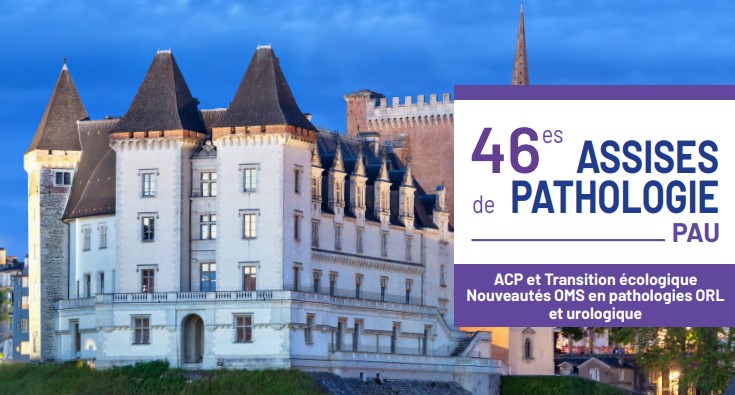 assises de pathologie