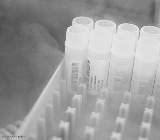 TDBioBank : stockage des aliquotes et des produits dérivés TDBioBank : stockage des aliquotes et des produits dérivés
