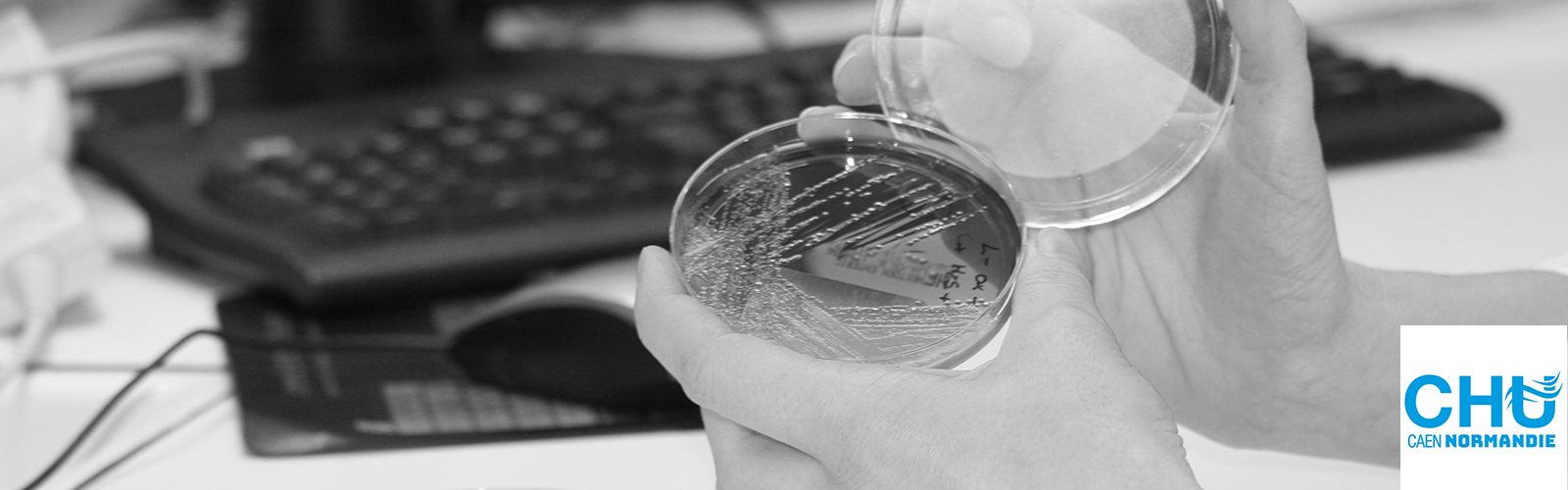 Microbiologia paperless, per una migliore qualità, tracciabilità ed efficienza in laboratorio