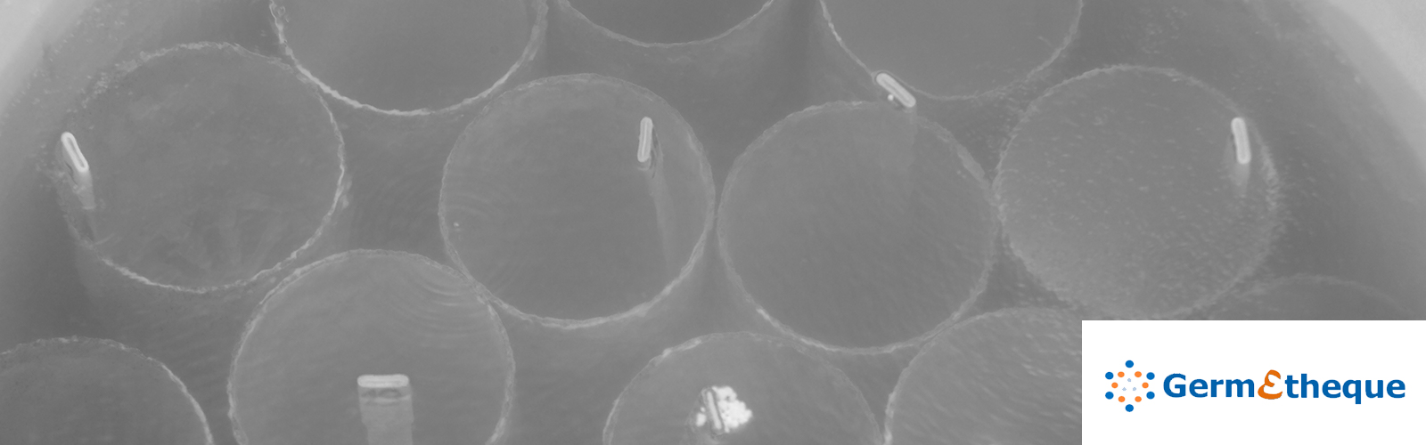 Il centro di Risorse Biologiche GERMETHEQUE ha scelto TDBioBank di TECHNIDATA per i suoi 5 siti 