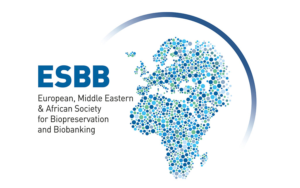 logo esbb en 296x119jpg